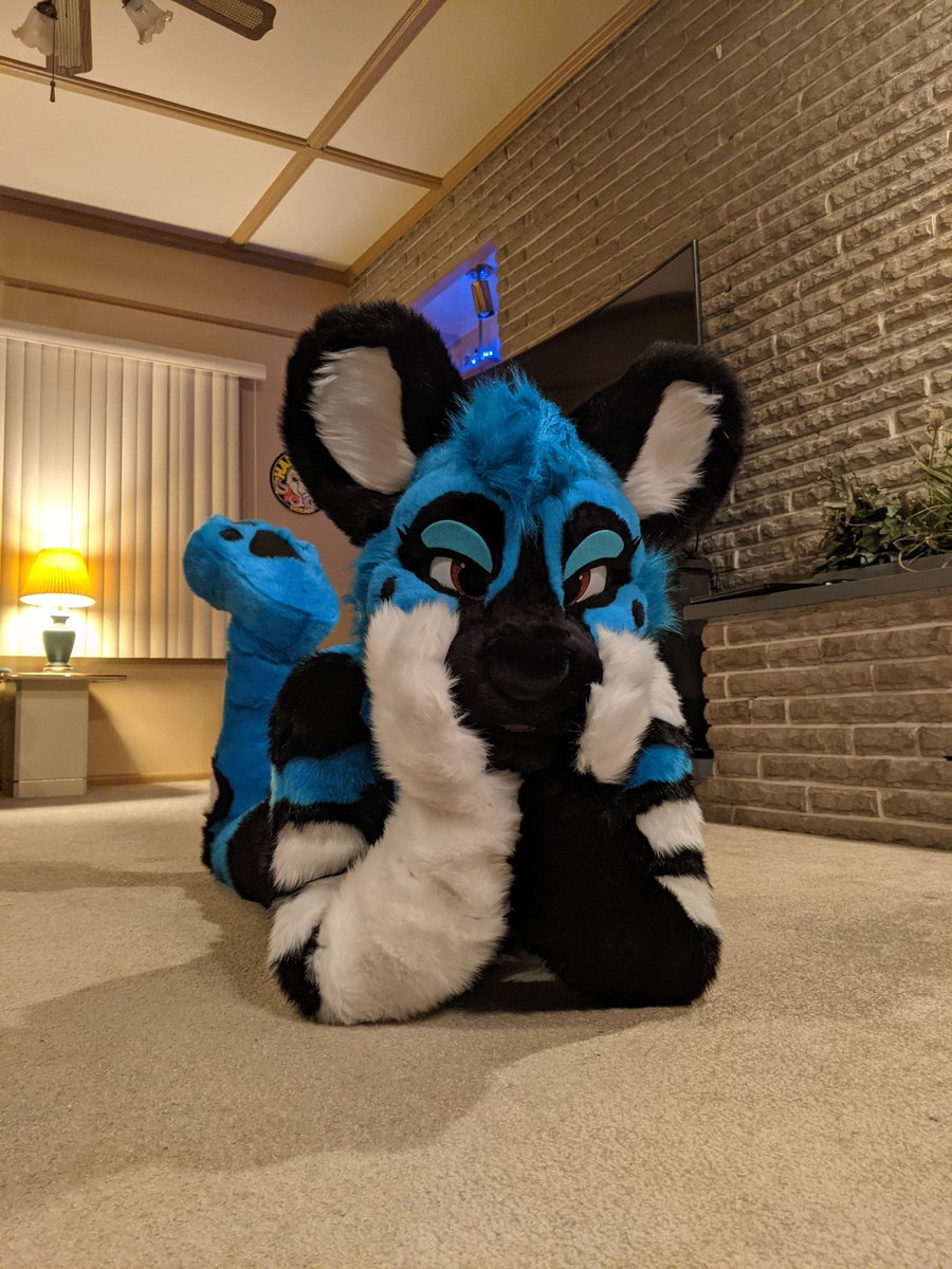 Wastegate Doggy! Doggi! Doggé! tweet media