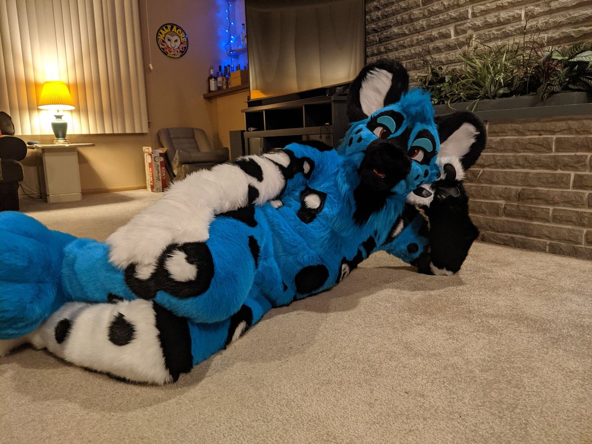 Wastegate Doggy! Doggi! Doggé! tweet media