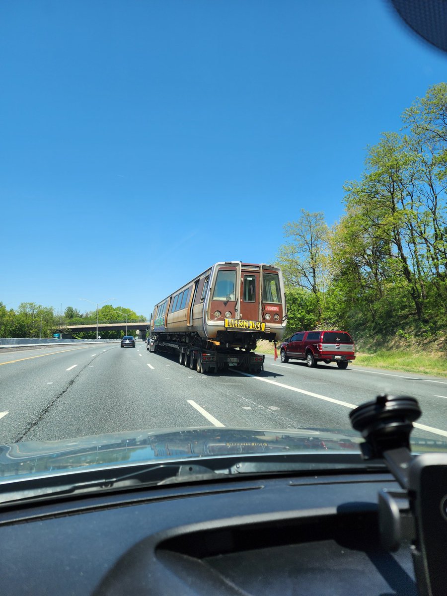 worm on a string 🦊 tweet media