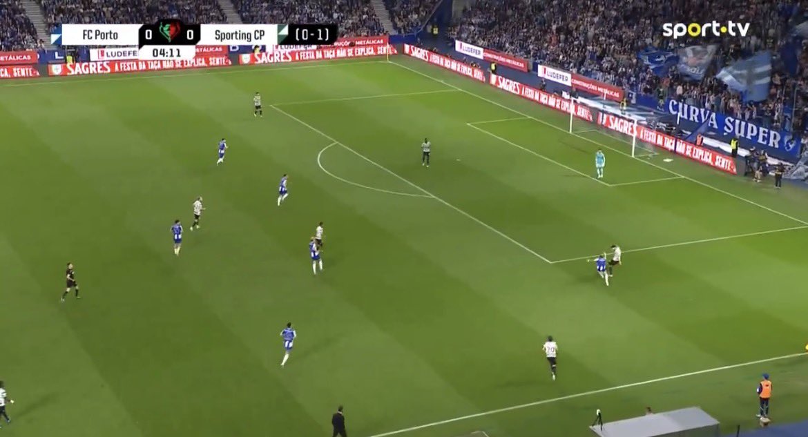 Morte aos lagartos filhos da puta, boa noite 👍🏼