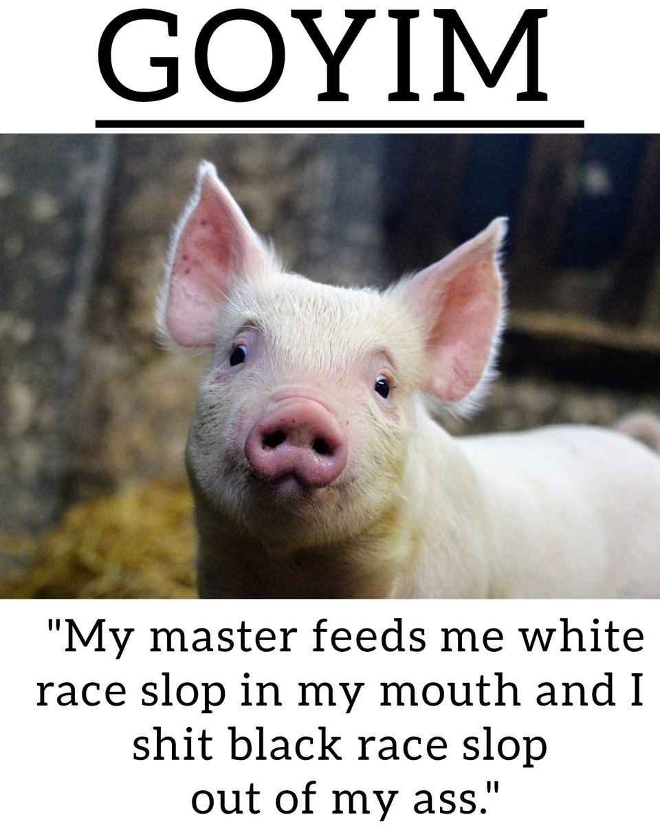 Brigadier O'Farrell tweet media