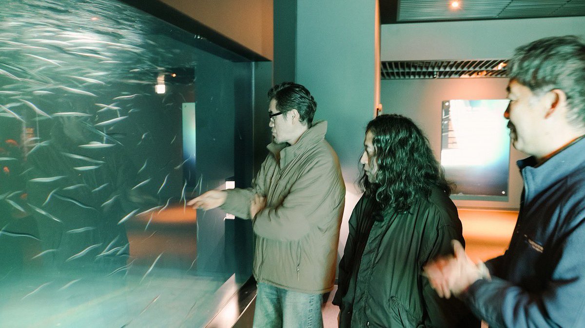 又吉・せきしろのなにもしない散歩 tweet media