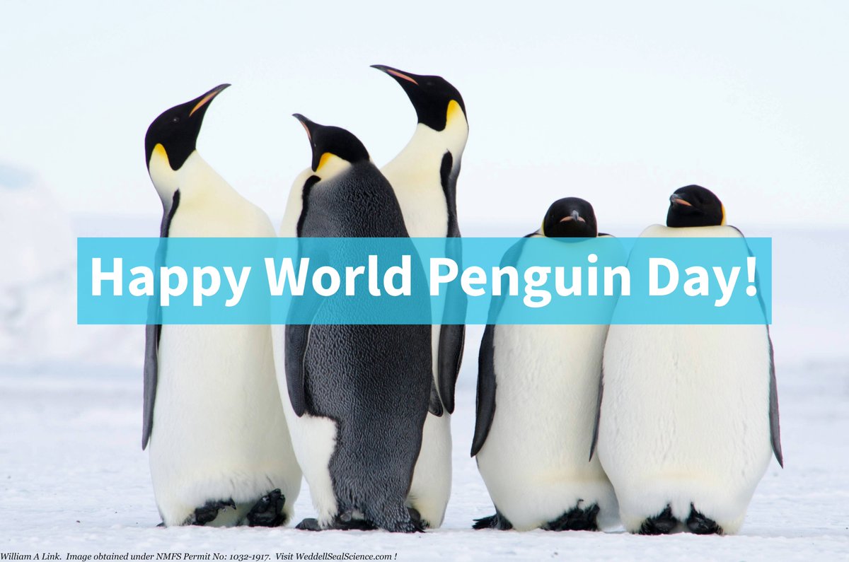 Environmental Action tweet media