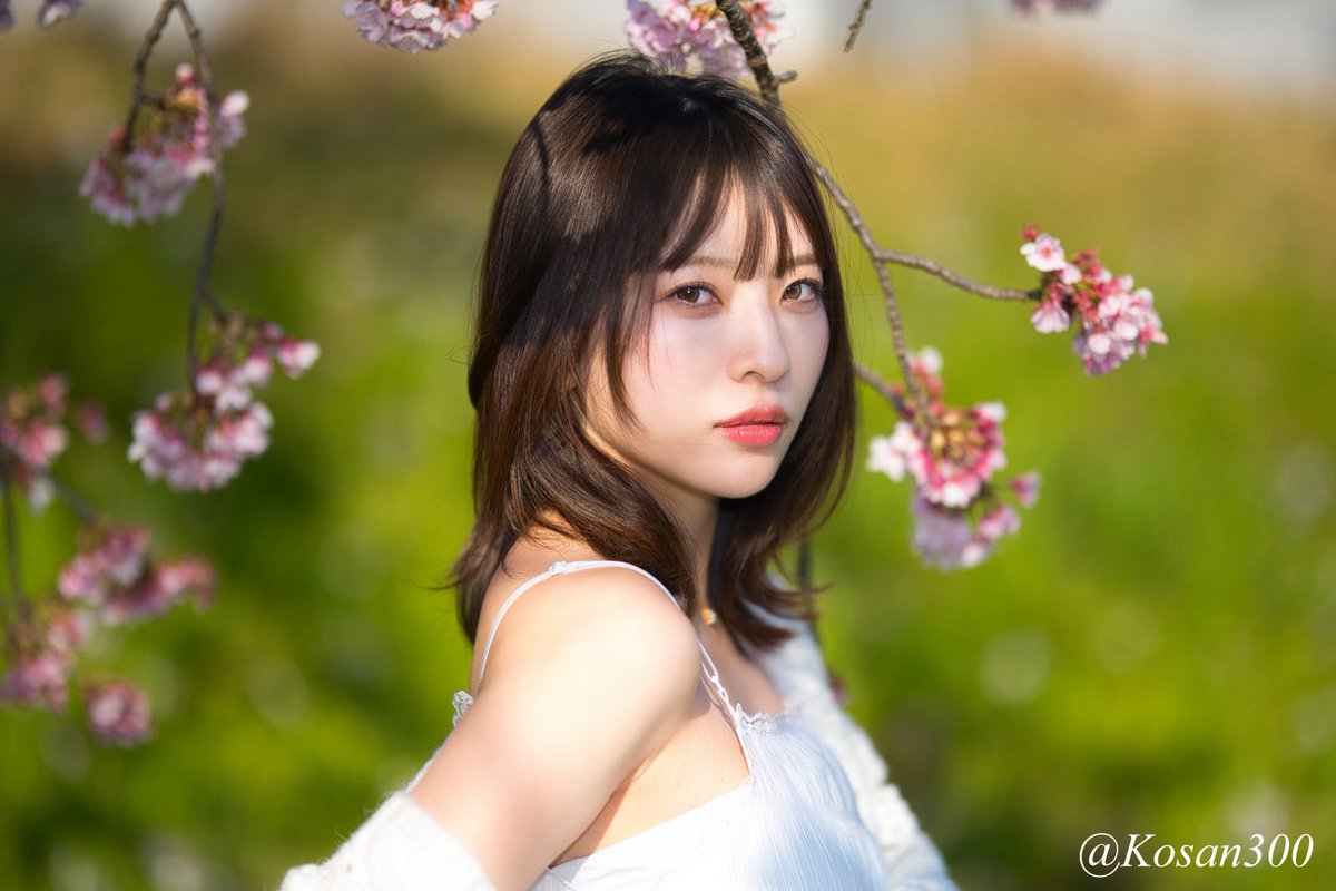 kosan300's tweet photo. 東京 Street… 桜.Ballad.
Model: @chiiyan_photomo #ちさ さん.
 #PHOTOMO @PHOTOMO_labory https://t.co/JhHhCUaBTS