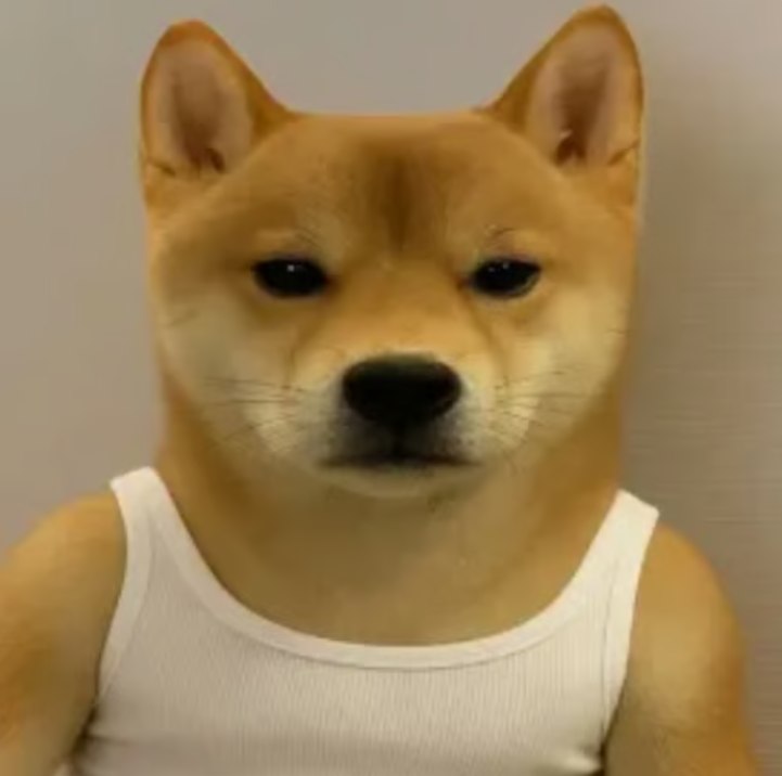 Pintoshi tweet media