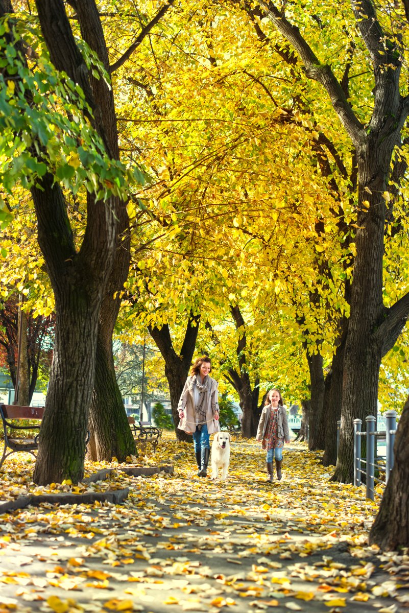 Katya Katya tweet media