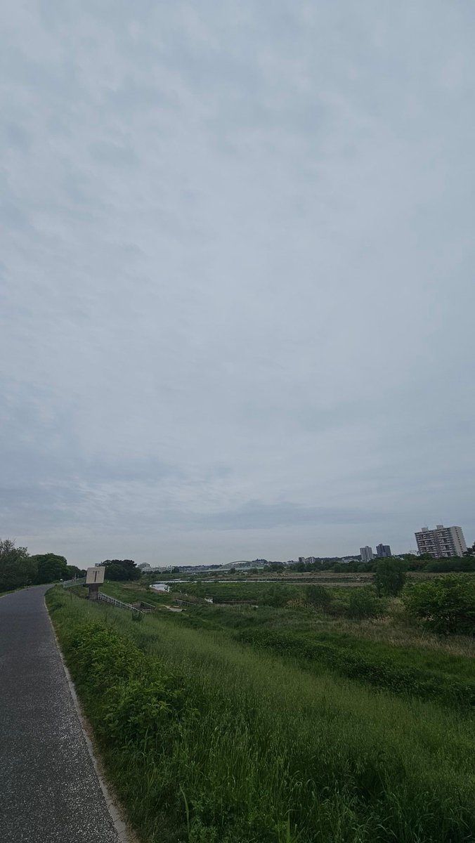 ウサコ tweet media