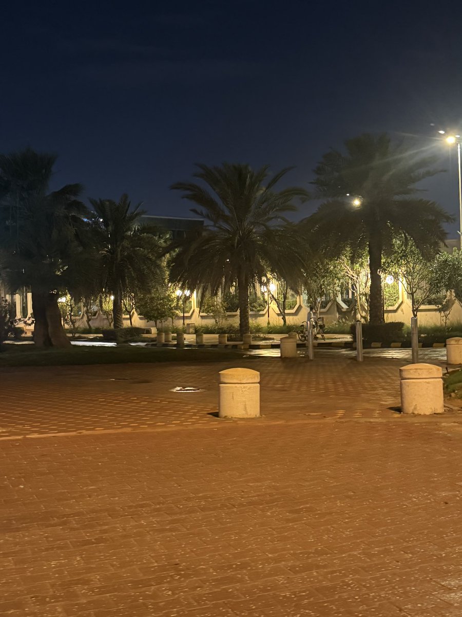 MSkyline tweet media