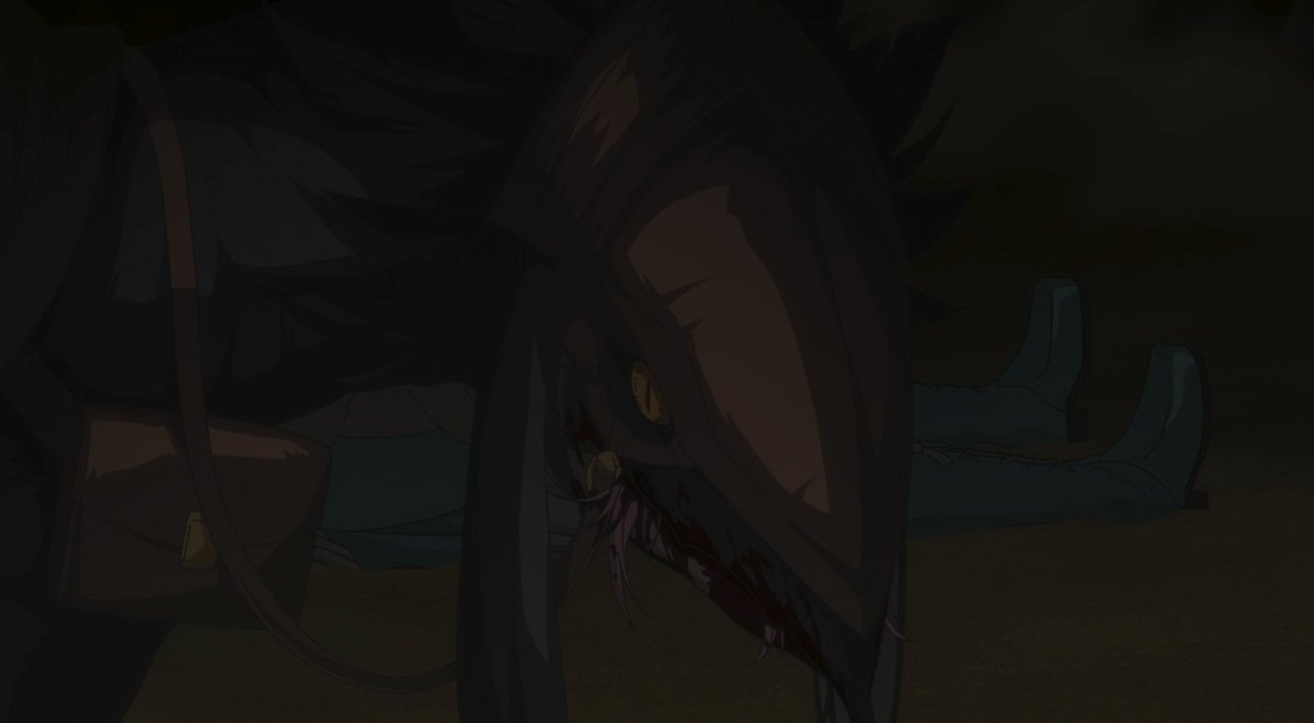 KiToro NEW ACCOUNT tweet media