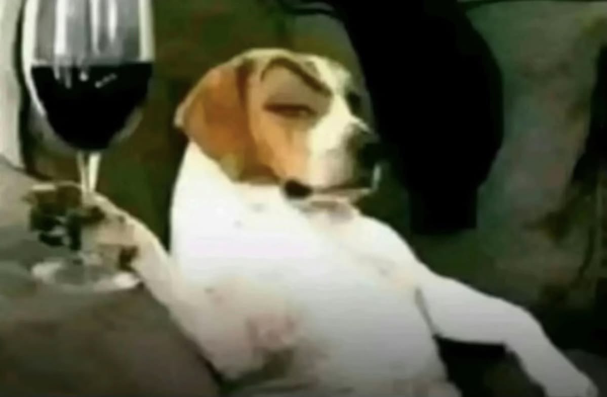 ‍ ‍ˣ ‍ ┄ ‍ ²³ tweet media