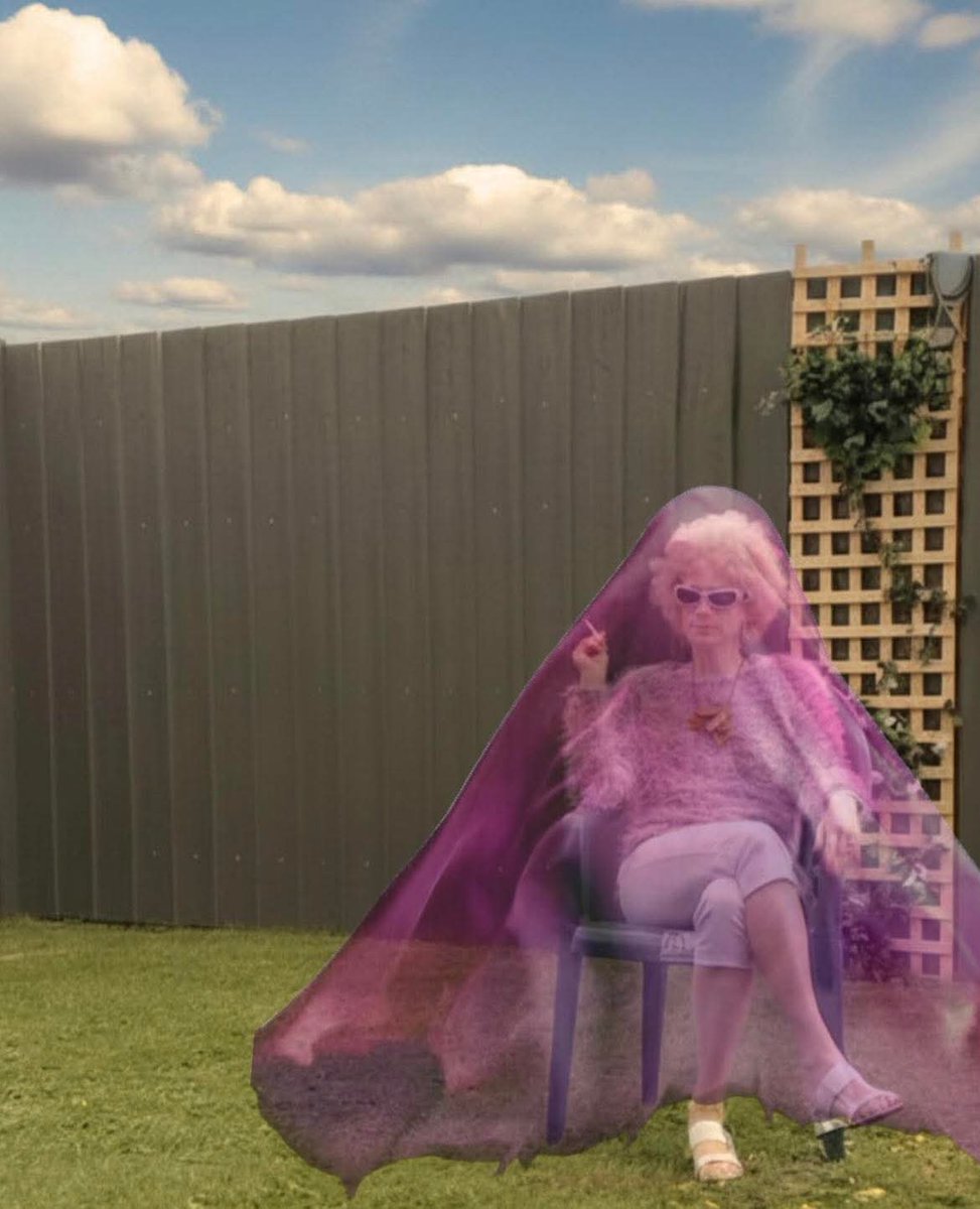 beejork's vault of dank memes tweet media