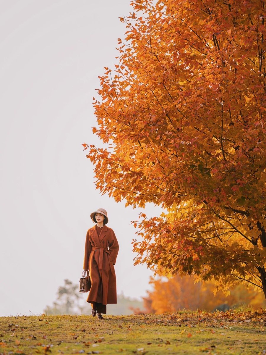 Chris Mcdonald tweet media