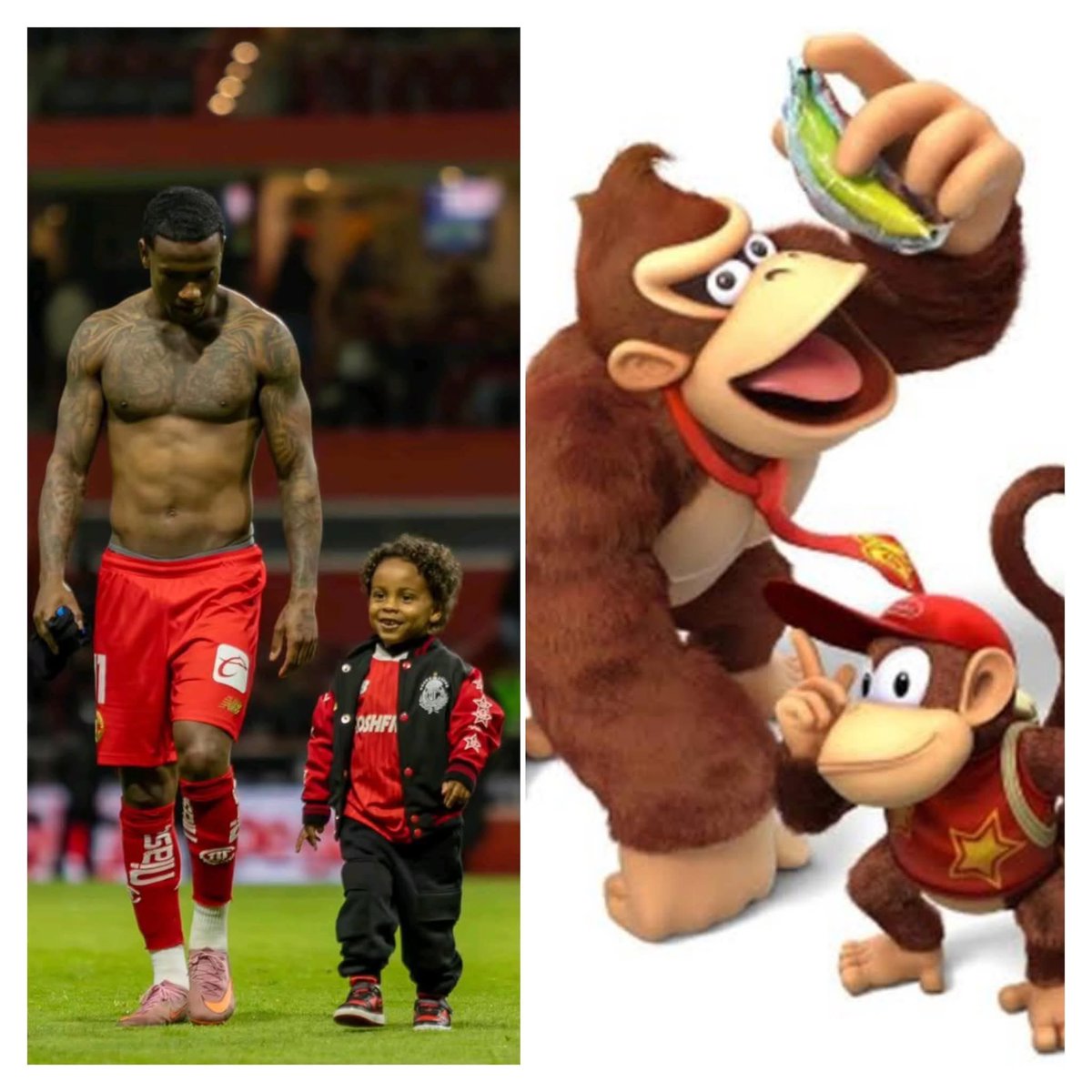 🤠El mejor Catador de peleas callejeras tweet media