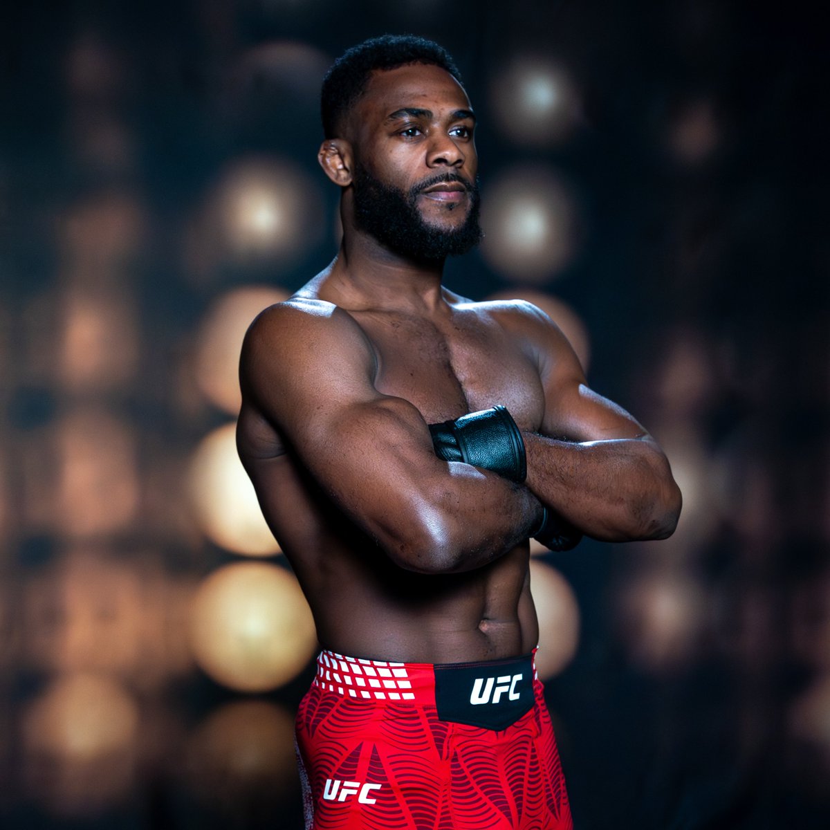 UFC tweet media