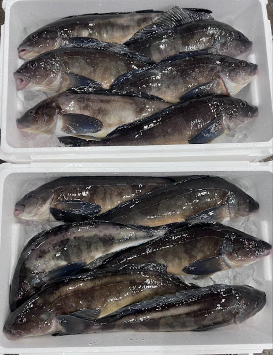 藤井一至 (土の研究者) tweet media