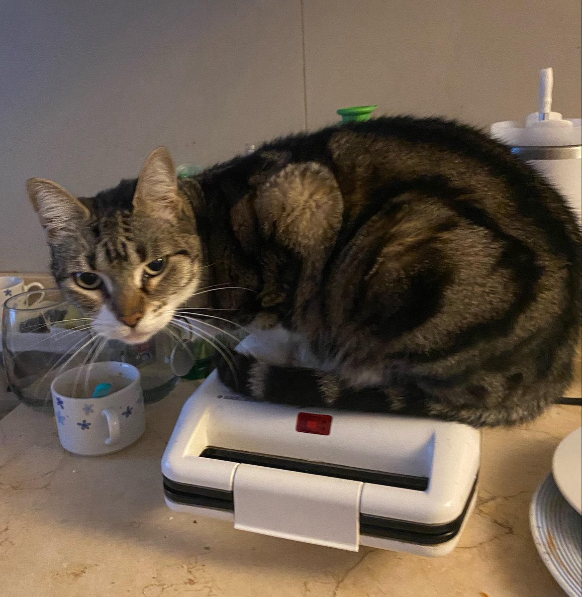 💚Lau  💚 tweet media