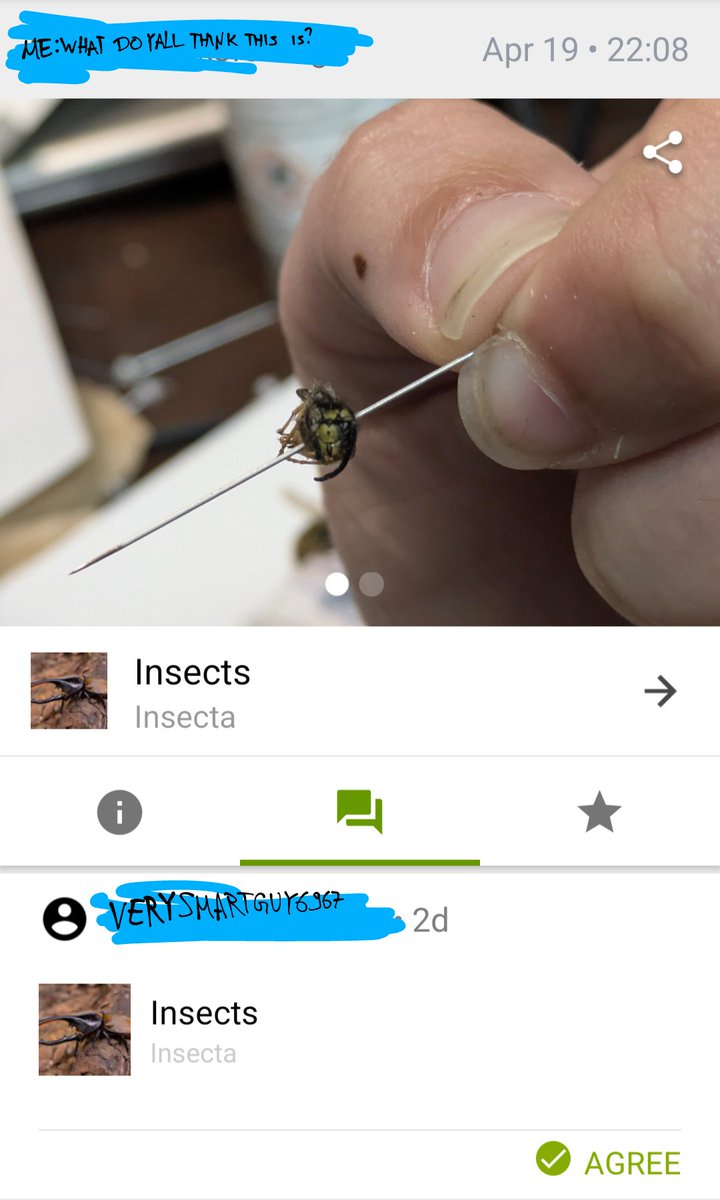 rio 🪲 bug oomf tweet media