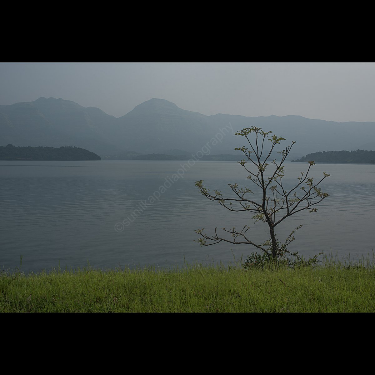 SunilKapadia19's tweet image. _SSK7780 Delicate Vs. Robust, Beauty Defies
Purchase this Photo Art Print
#delicate #delicacy #robust #strong #beauty #defy #color #tree #lake #water #landscape #landscapephotography #mountains #serene #serenity #tranquil #tranquility #peaceful #Bhandardara #Maharashtra #India