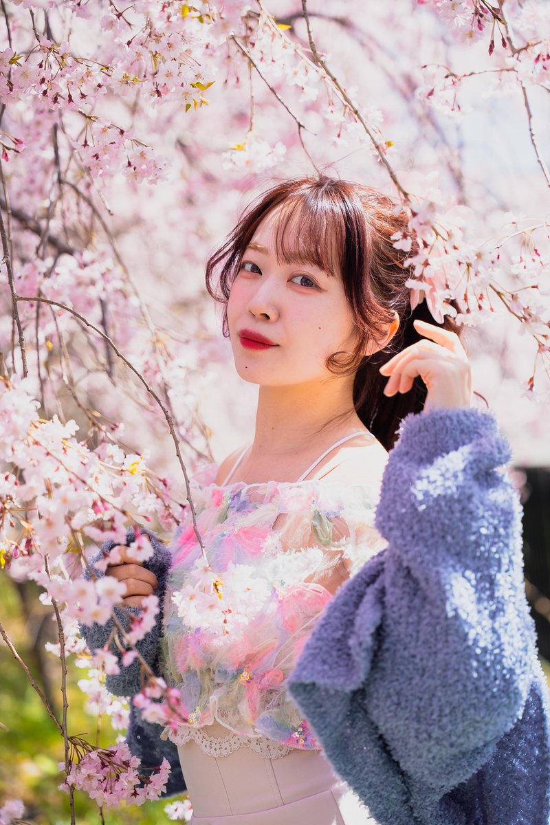 空乃Mikan tweet media