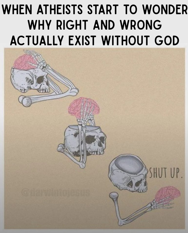 Darwin to Jesus tweet media