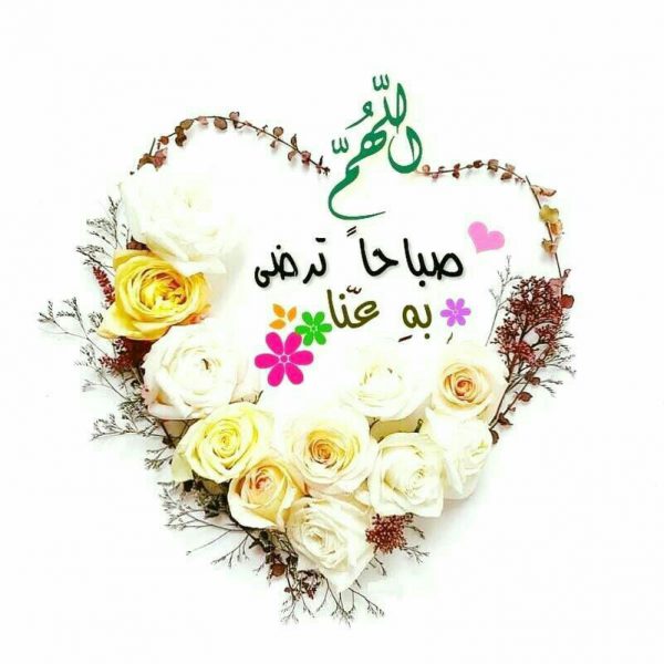 قاسم احمد دراج tweet media