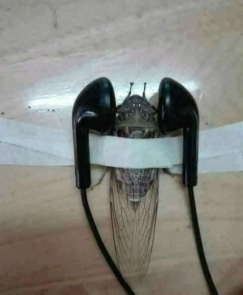 تین گھنٹوں سے ترترترترتر کر کے اس نے میرا دماغ گھما کے رکھ دیا اب میں اس کا گھما رہا ہوں
#قومی_زبان