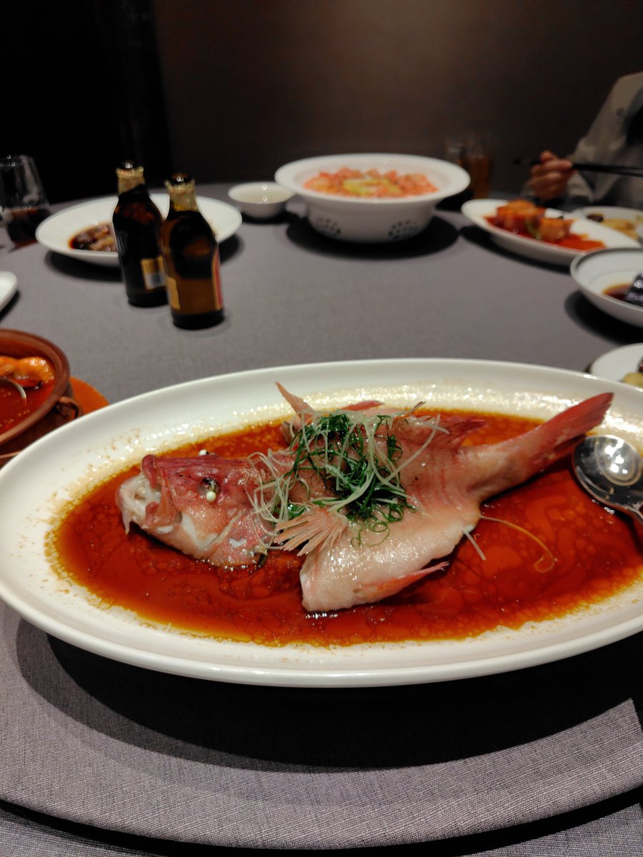 かいりゅう🦖🦕🦖 tweet media