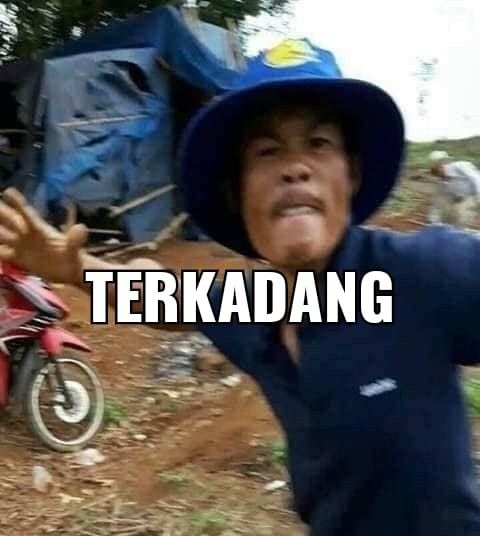 tapi buat dua minggu