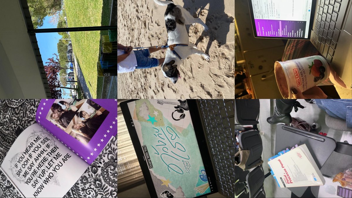introhills's tweet photo. super late #LastWeek recap 🦕 https://t.co/U5gBLPpHkn