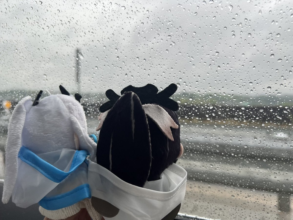 羽根❄️🪶5/17【雷鳴】C03a tweet media