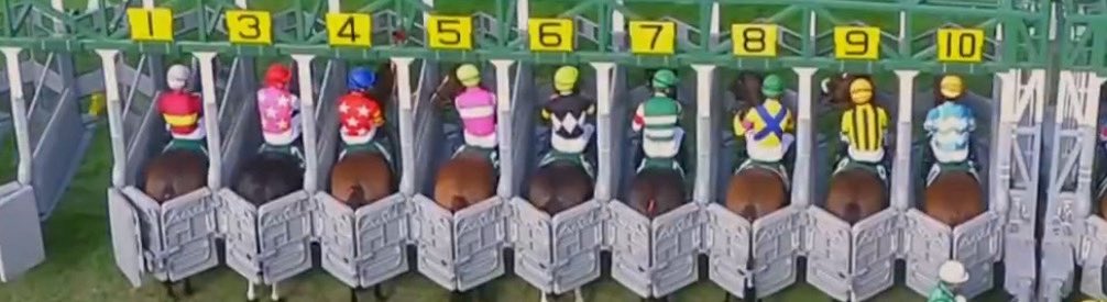 しゅてぃる🏇 tweet media