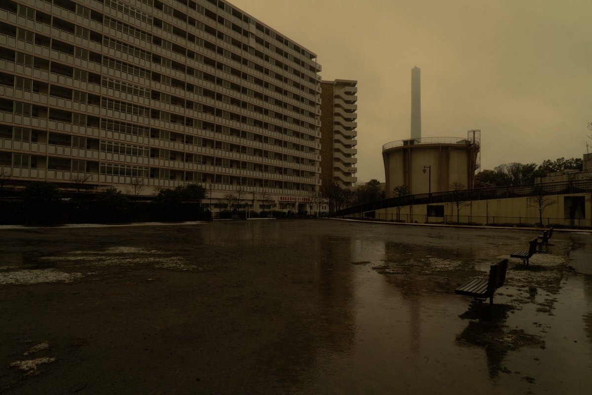 nyafu (@n55_pafu) on Twitter photo 