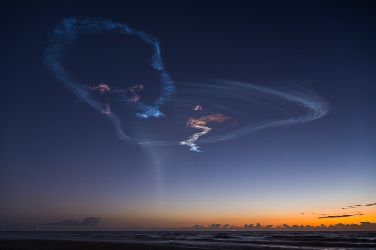 Space Jellyfish Alerts tweet media