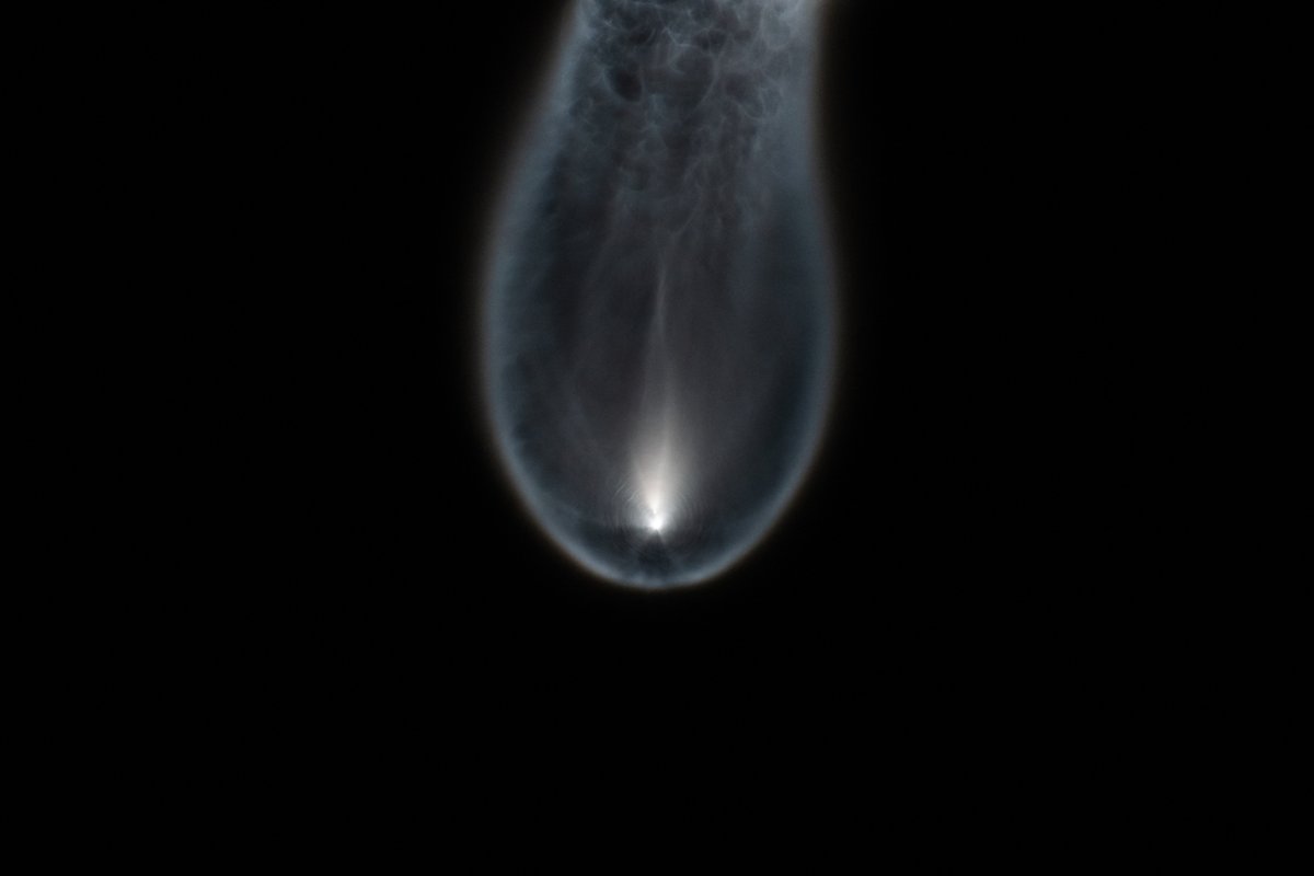 Space Jellyfish Alerts tweet media