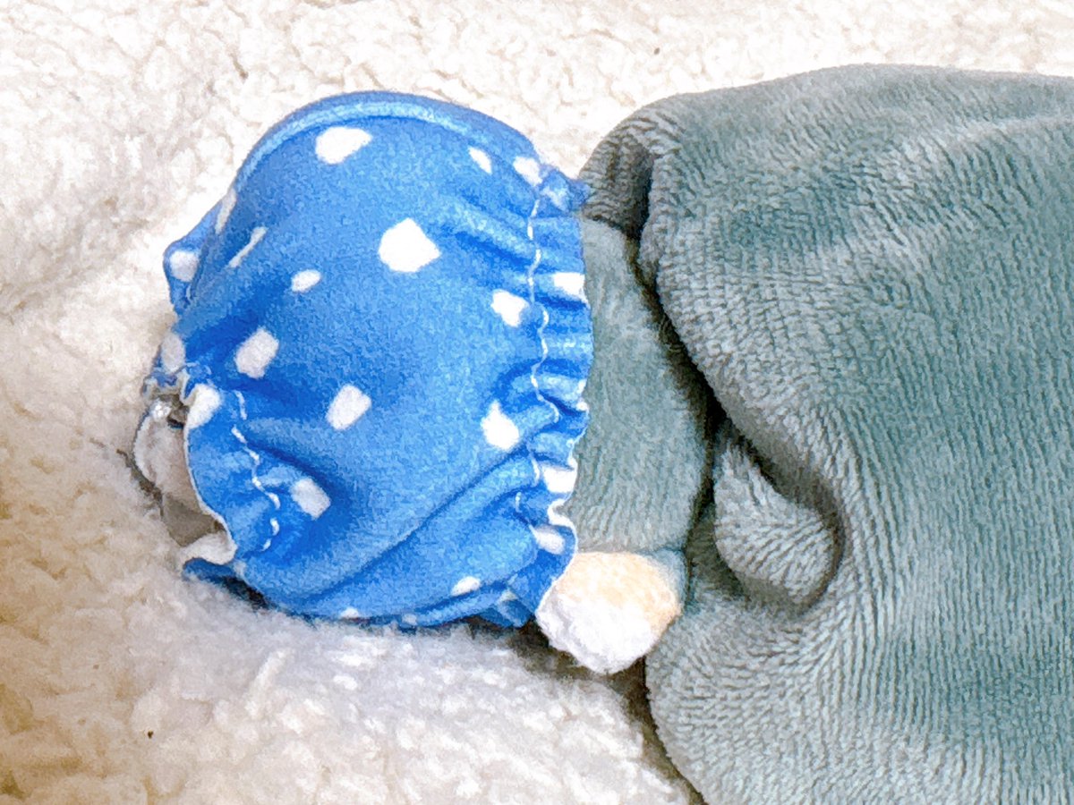 ( ㅎ.ㅎ)凛々しい眉毛( •̀ •́ ) tweet media