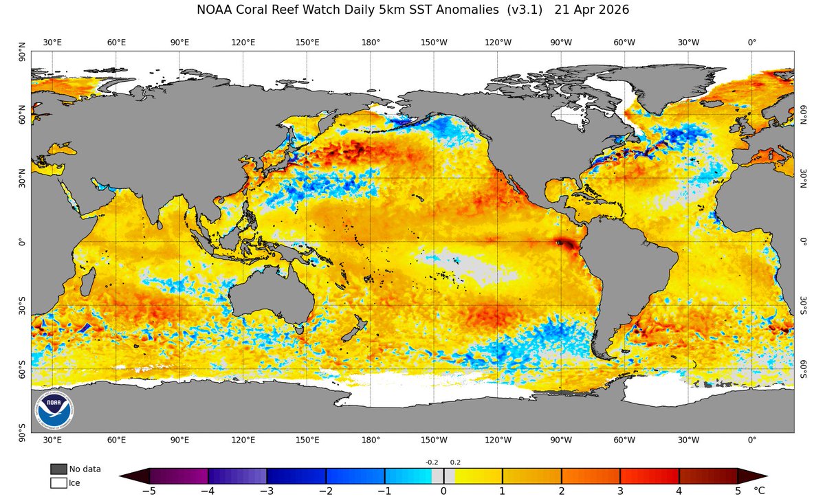 Mario___Ramirez's tweet photo. 22/04/26   #ElNiño costero      #Región1+2      

#ATSM    (Prom. Diario)       Magnitud:   #Moderado 

#Calentamiento  continúa  fortalecimiento     
y  en progreso a lo extenso del Pacifico ecuatorial. https://t.co/qrGK3qJESR