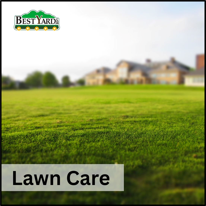 bestyardcom's tweet photo. At https://t.co/OVl4r3CXZ8, our professional lawn care services keep your grass green, strong, and weed-free all year. Know more: https://t.co/ix9j2MQDYx
#LawnCare #HealthyLawn #GardenMaintenance #GreenGrass #BestYard https://t.co/CSw0mdQiCZ
