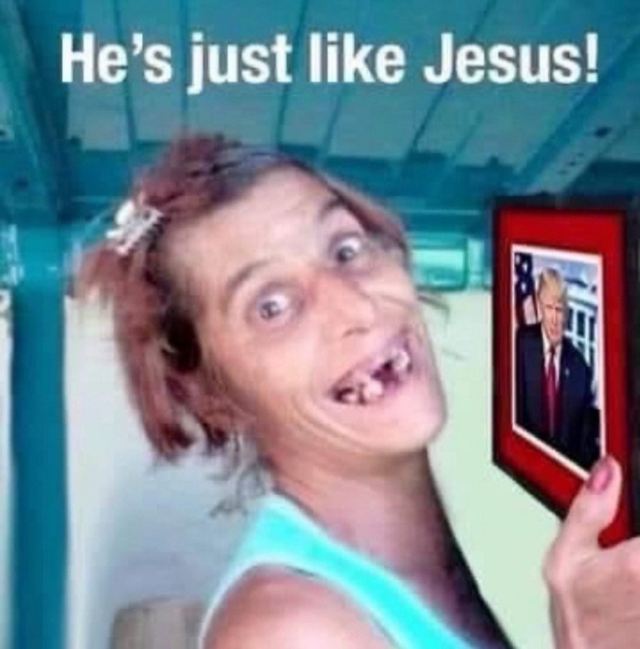 Mean Mr. Mustard Proud Cat Dad tweet media