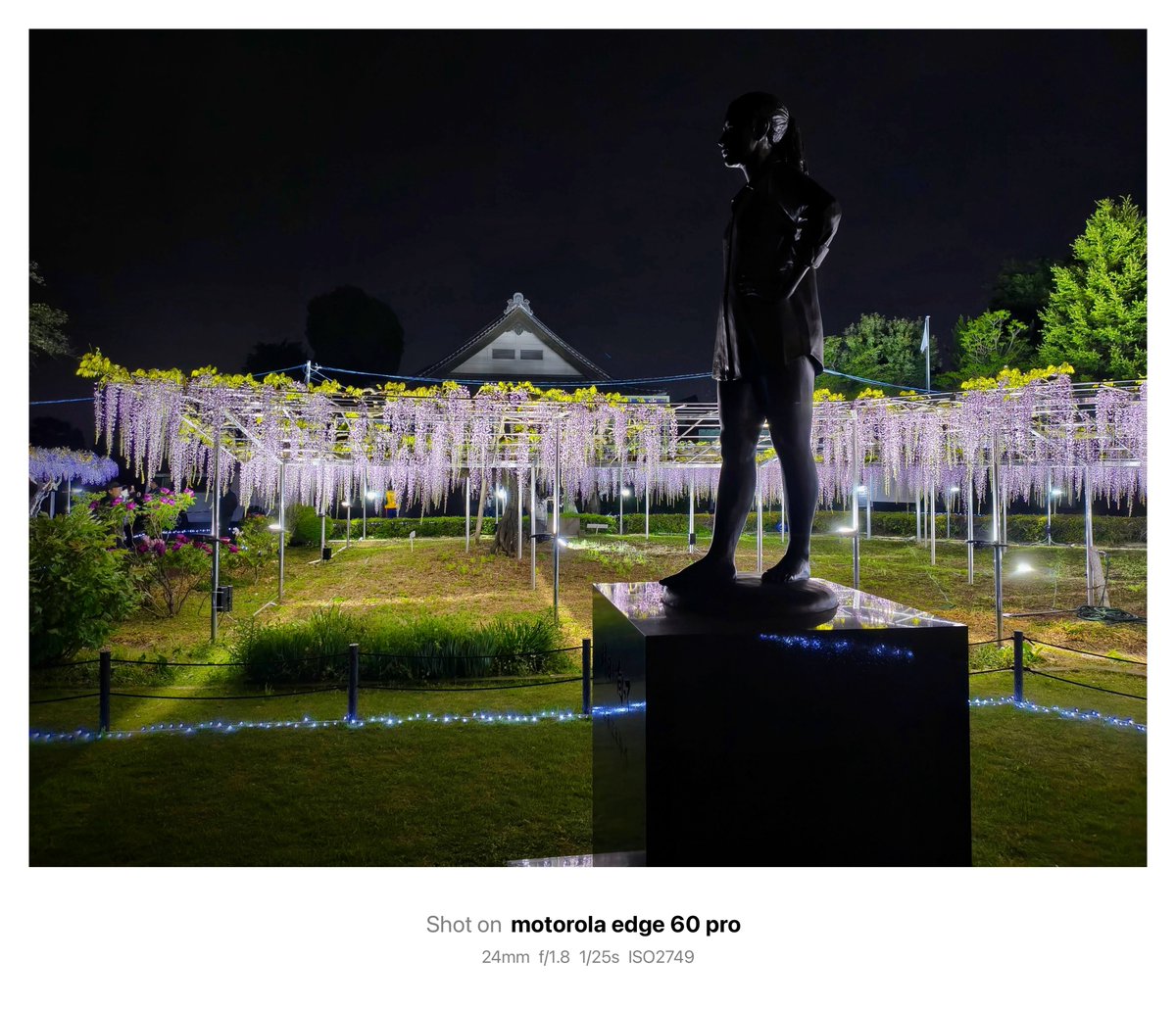 s_rindicum's tweet photo. ライトアップされた大藤。Googleフォトで微レタッチ。
#edge60pro #ナイトビジョン #青葉園 https://t.co/aHPc6WFayr