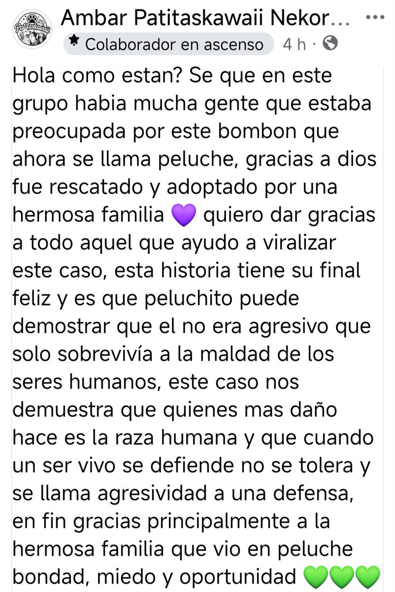 marcealeop's tweet photo. @PamelitzR @CsvChile @carolinapinoc @ile0719 @sol_palacios_m @MuchoGustoMEGA @ContigoCHV @CCRadovic2012 Si , gracias a Dios fue rescatado https://t.co/xEY1xdyqJK