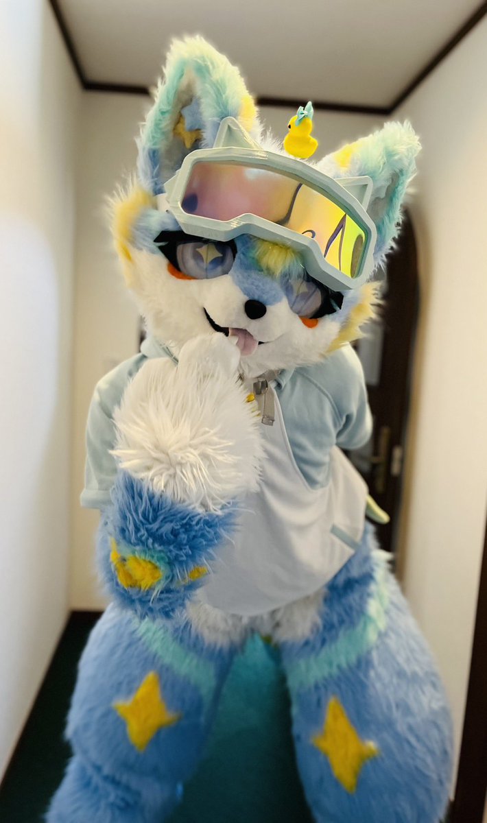 もふルゥ🔰(ルミナくんオーナー) tweet media