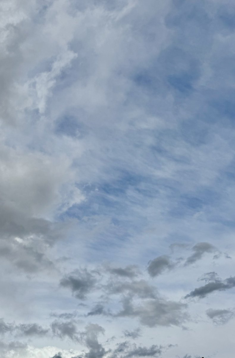 jonimarielew's tweet image. Cool clouds over the desert. #Nevada #desert #clouds #skies