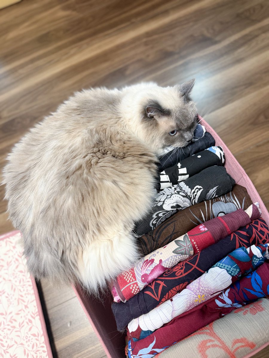 Takako Abe tweet media