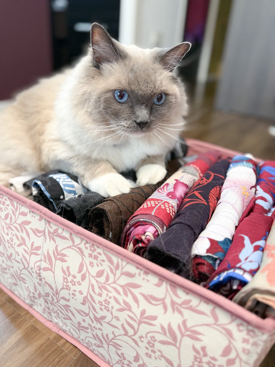 Takako Abe tweet media