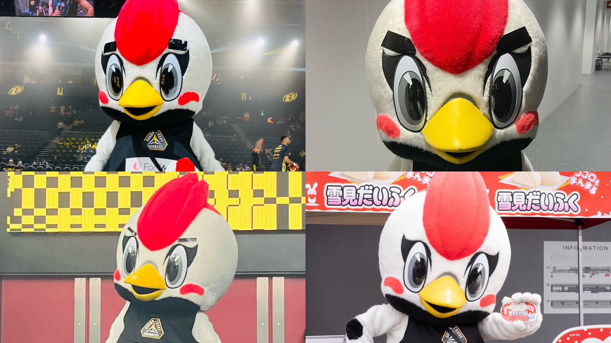 眉毛でここまで変わるの、 聞いてないンダッ！🐥 まるで別鳥ッ