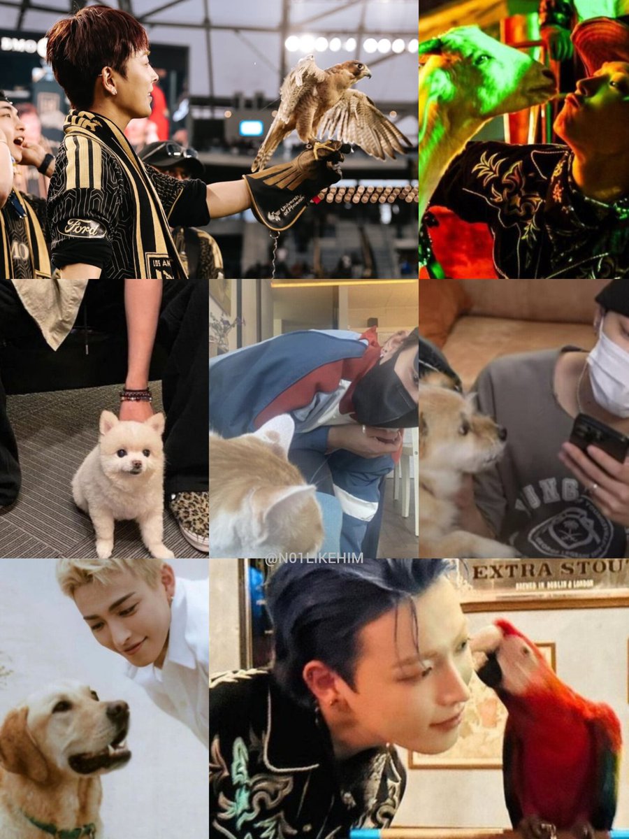 Snow White #HONGJOONG w animals friends🐐🦜🦅🐈🐕