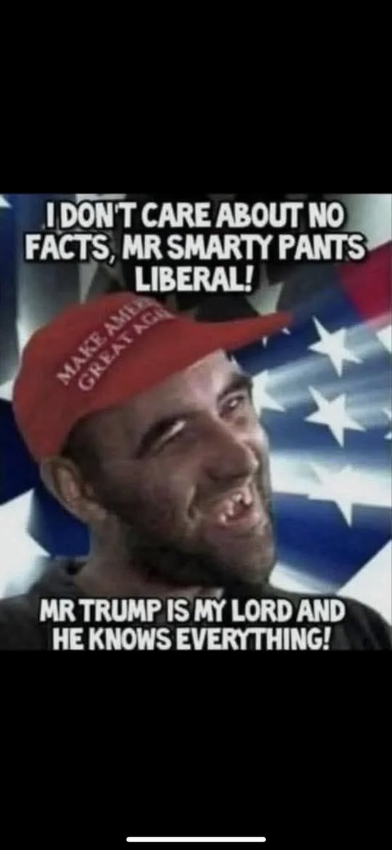 Mean Mr. Mustard Proud Cat Dad tweet media