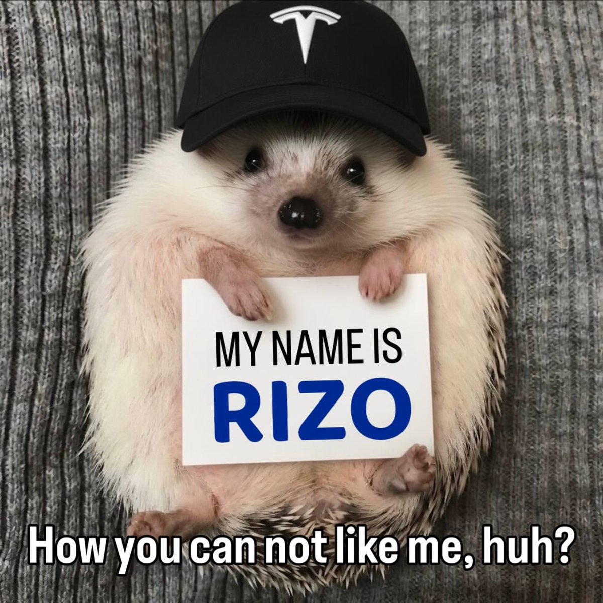 Rizo Ethereum tweet media