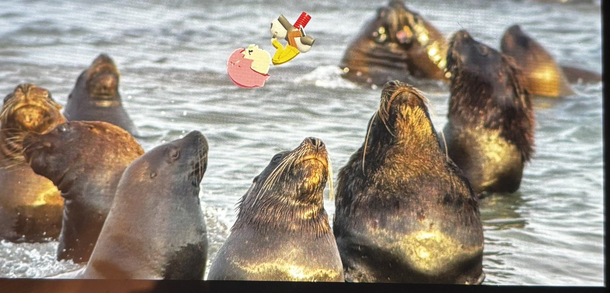 isabella🪼🎏 tweet media