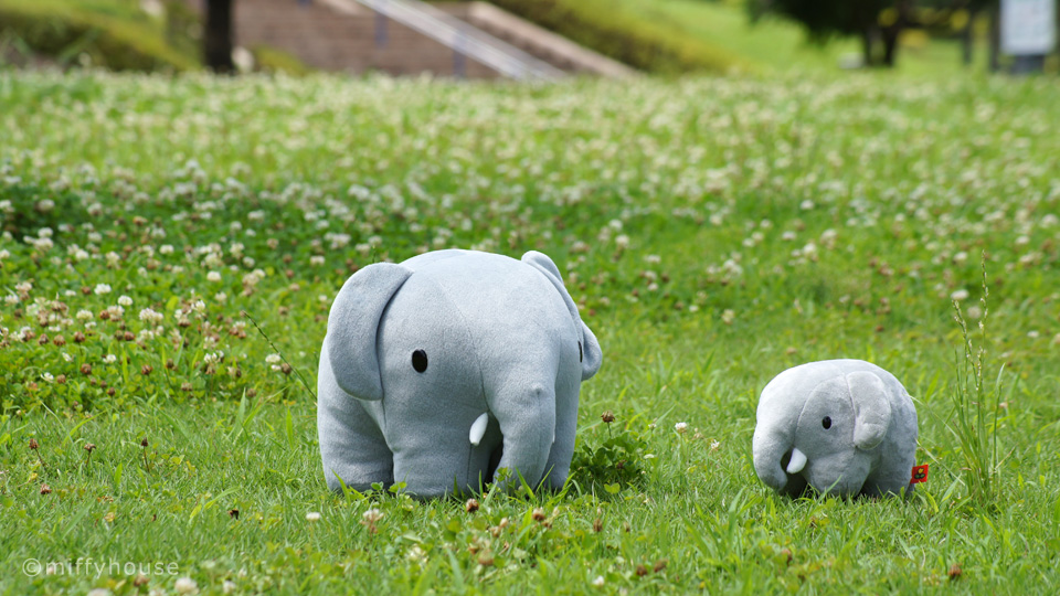 miffyhouse-ミッフィー専門店 tweet media